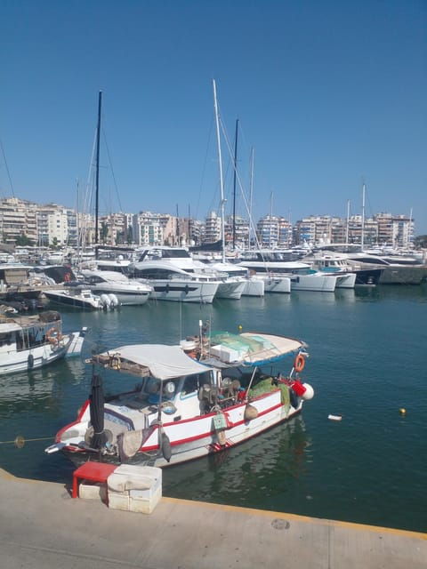 Greece Top Tour (Athens, Cretas, Rhodos, Santorini) - Inclusions and Exclusions