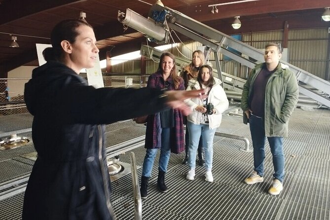 Greece Wine Roads: Athens, Nemea and Santorini - Questions and Assistance