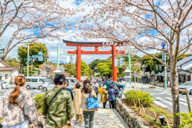 Greedy Gourmet and Temple Tour in Kamakura - Good To Know