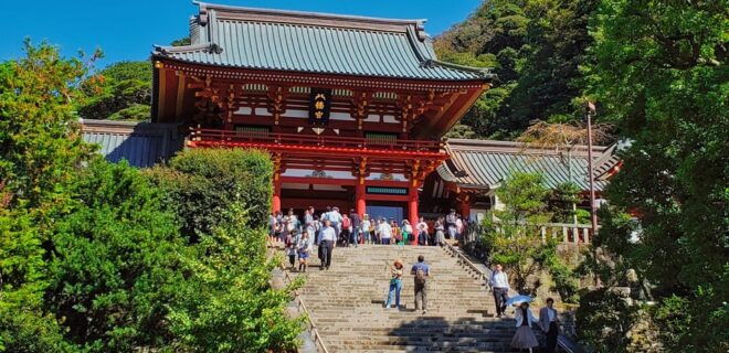 Greedy Gourmet and Temple Tour in Kamakura - Tsurugaoka Hachimangu Shrine