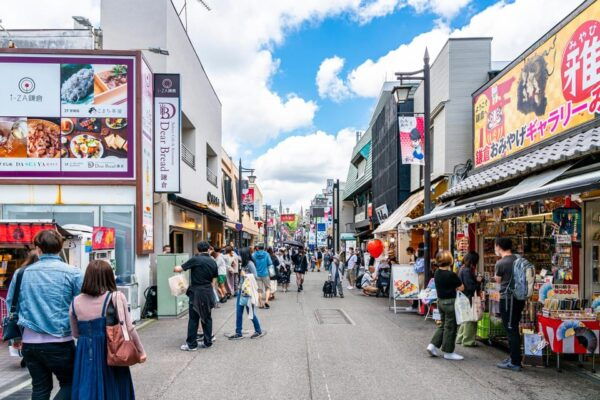 Greedy Gourmet and Temple Tour in Kamakura - Meeting Point Details