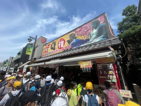 Greedy Gourmet and Temple Tour in Kamakura - How to Book Your Tour