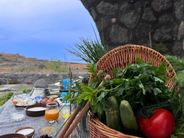 Greek Cooking Class and Dining Experience - What to Expect