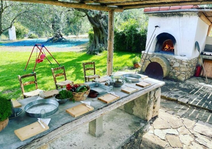 Greek Cooking Class in an Olive Grove in Messinia - Cooking Class Itinerary