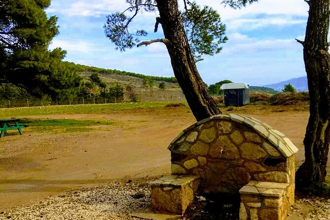 Greek Meze Tasting & Sunset at Temple of Poseidon - The Sum Up