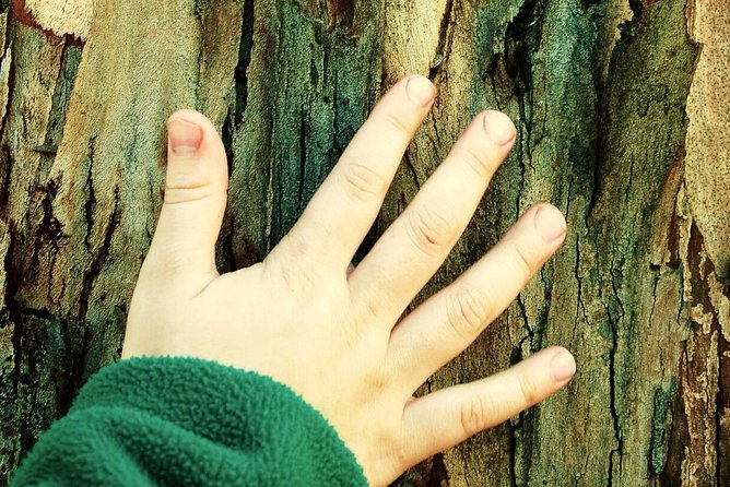 Greek Mythology Treasure Hunt for Kids - Athens Private Tour - Inclusions