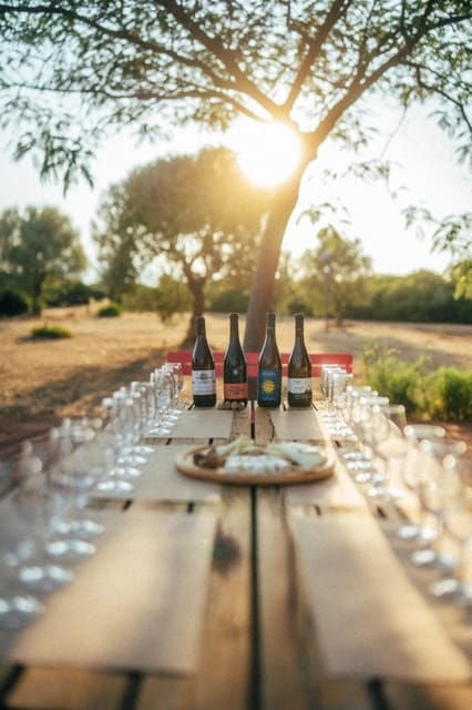 Greek Natural Wines Tasting & Pairing: Taste the Terroir - Organic and Biodynamic Practices