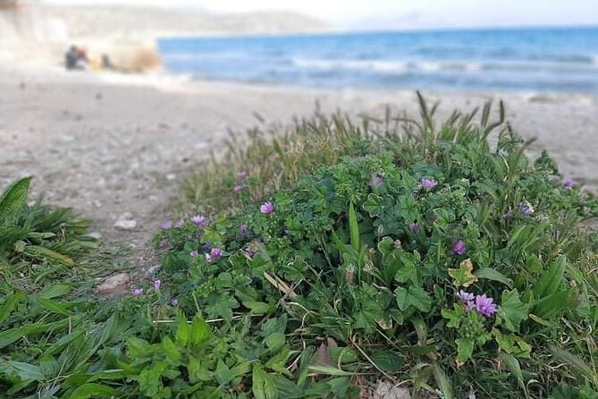 Green Athens Riviera Private Guided Tour by Electric Minivan - Itinerary Overview