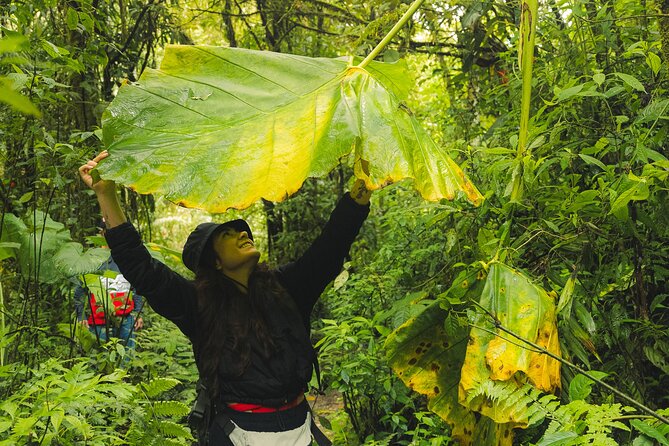 Green Connection - Booking Information