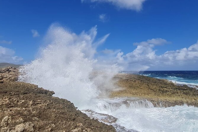 Green Escape, Hato Cave and Turtle Beach Tour - Traveler Photos