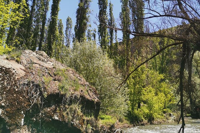 Green Full-Day Tour in Cappadocia - Reviews