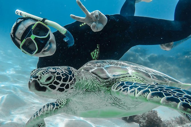 Green Island Day Trip From Cairns With City Transfers - Wheelchair Accessibility and Group Size