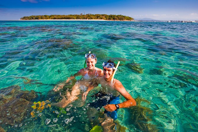 Green Island Day Trip From Cairns With City Transfers - Traveler Reviews and Ratings