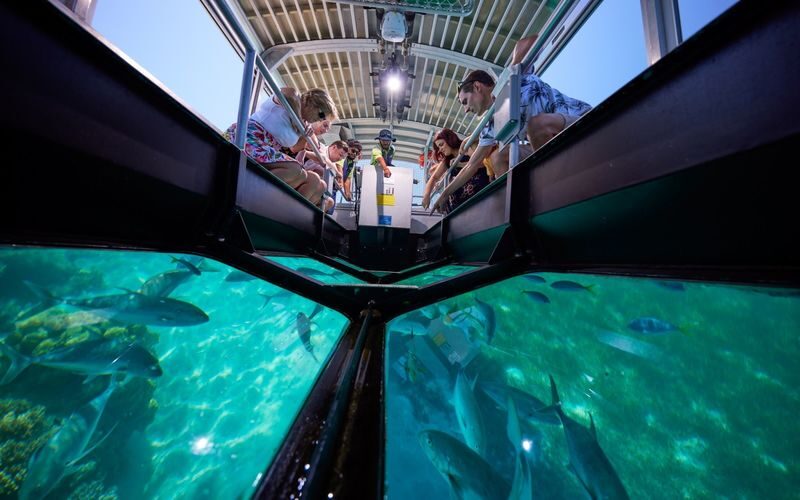 Green Island & Fitzroy Island One-day Coral Reef & Island Hopping Tour - Who should choose this island-hop
