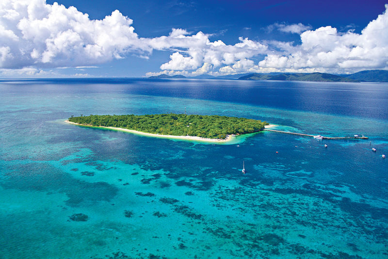 Green Island Reef Cruise Full Day Guided Tour from Cairns - Green Island Reef Cruise: Key Points