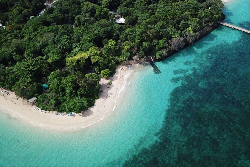 Green Island Snorkelling & Glass Bottom Boat Day Tour - Who will enjoy this trip most?