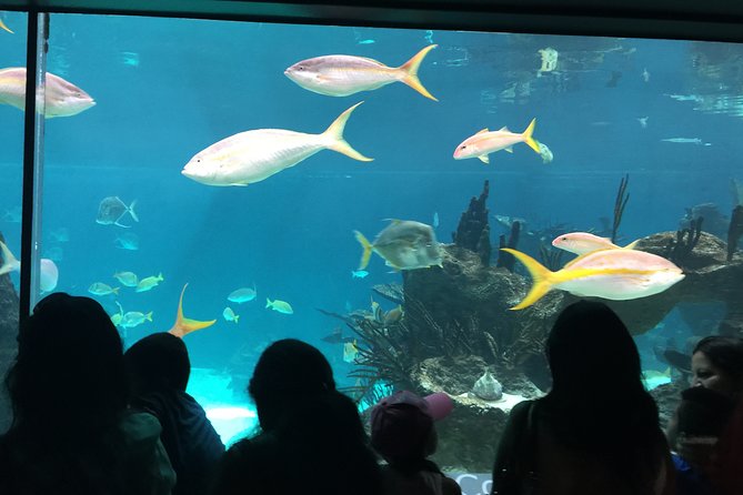 Green Living One Week English Language Course in London - Day 4 Itinerary