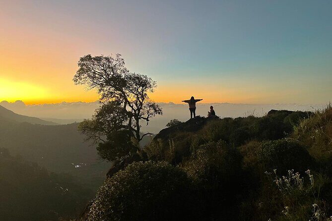 Green Magic One Night Two Days Trip to Munnar - Value for Money and Overall Impression