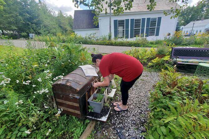 Green Mountain Adventure Challenge Passes - Who is this experience best for?