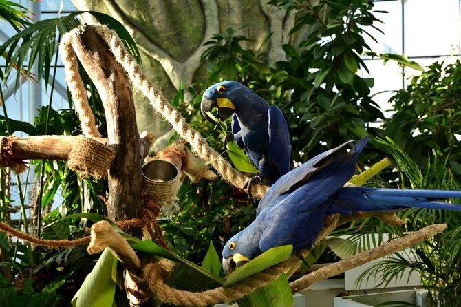 Green Planet Dubai - Traveler Photos