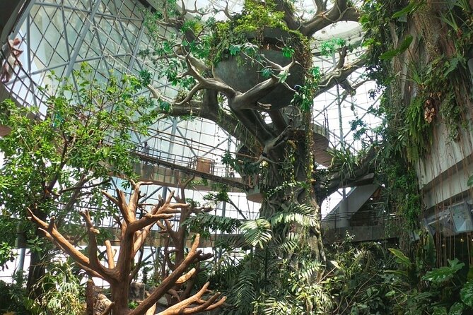 Green Planet Dubai - Reviews