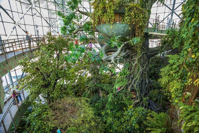 Green Planet Dubai - The Sum Up