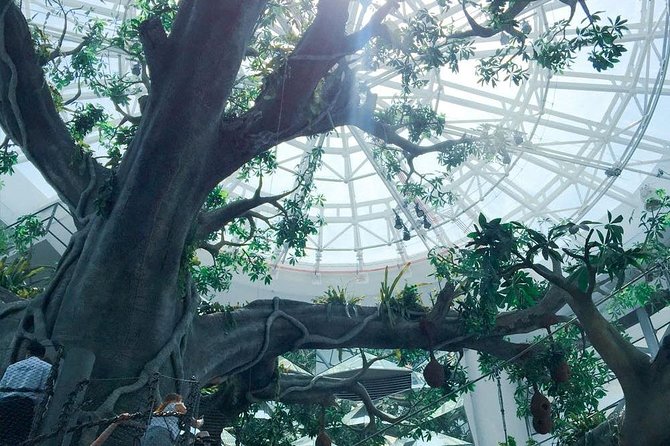 Green Planet Dubai Day Ticket With Pickup and Drop off - Features