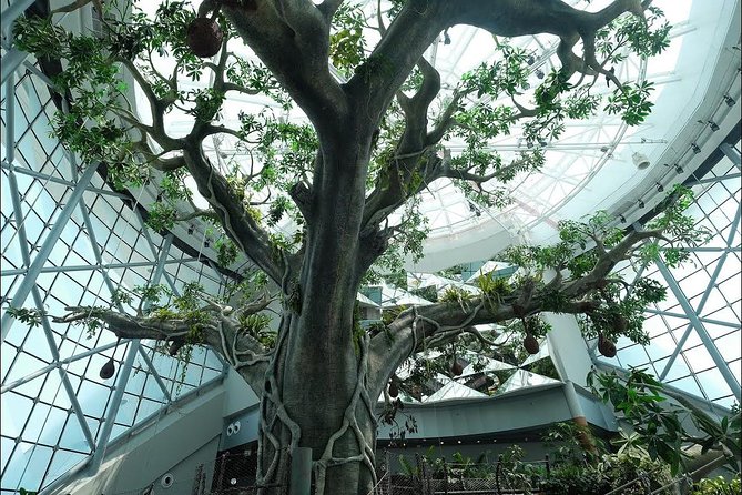 Green Planet Dubai Day Ticket With Pickup and Drop off - Questions and Assistance