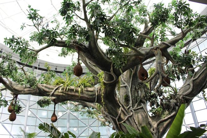 Green Planet Dubai Day Ticket With Pickup and Drop off - Pricing and Terms