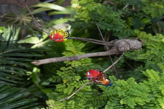 Green Planet in Dubai With Optional Transportation - Pricing and Guarantee