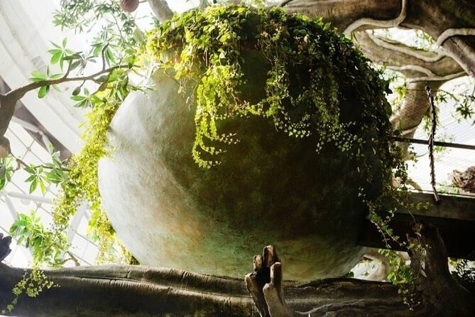 Green Planet in Dubai With Optional Transportation - Booking and Flexibility