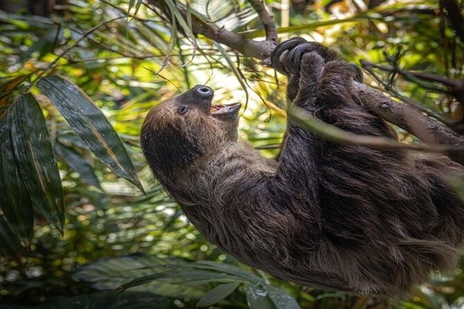 Green Planet in Dubai With Optional Transportation - Overview of Green Planet