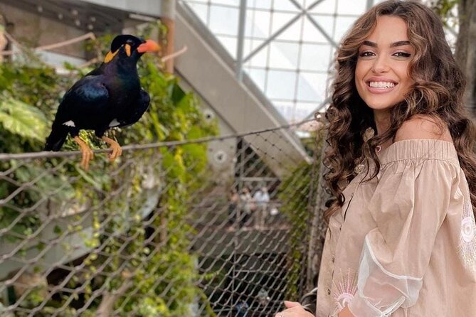 Green Planet in Dubai With Optional Transportation - Meeting and Pickup