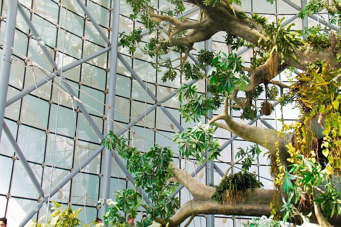 Green Planet Tickets With Sharing Transfers - Meeting and Pickup Details