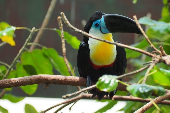 Green Planet Tickets With Sharing Transfers - Frequently Asked Questions