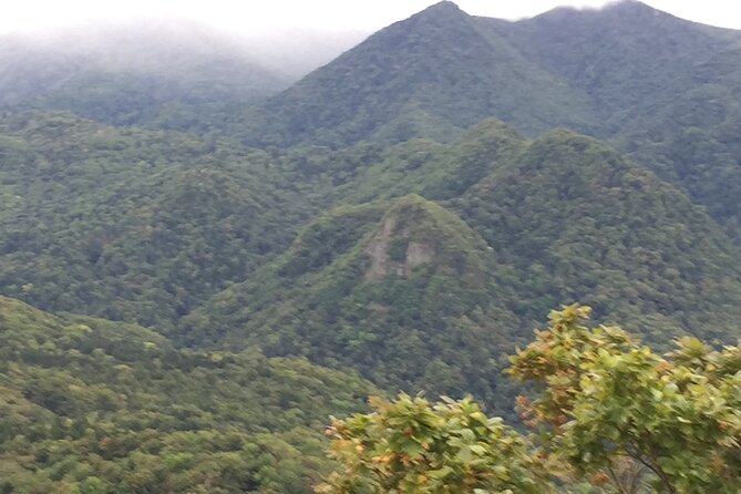 Green Season Half Day Hikes in Hokkaido - Frequently Asked Questions