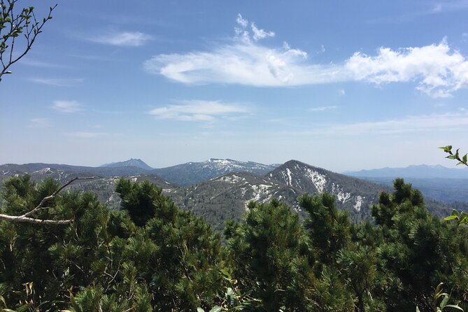 Green Season Half Day Hikes in Hokkaido - The Sum Up