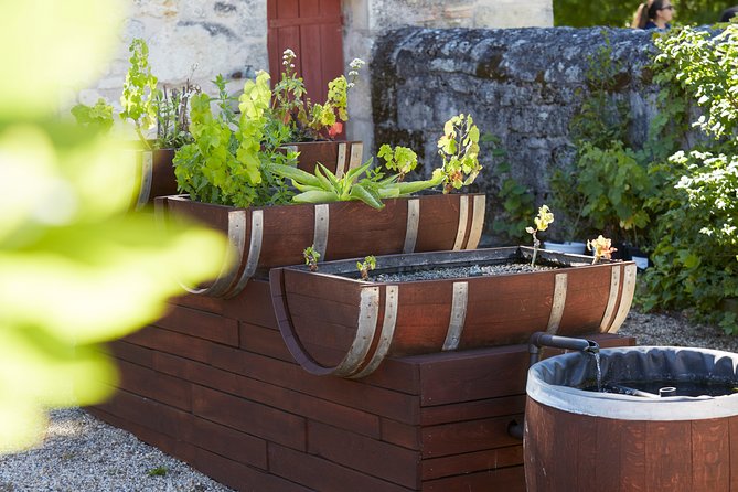 Green Tour of Château De La Dauphine - Booking Process