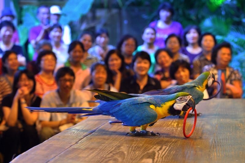 Green World Ecological Farm Ticket in Hsinchu - At a glance