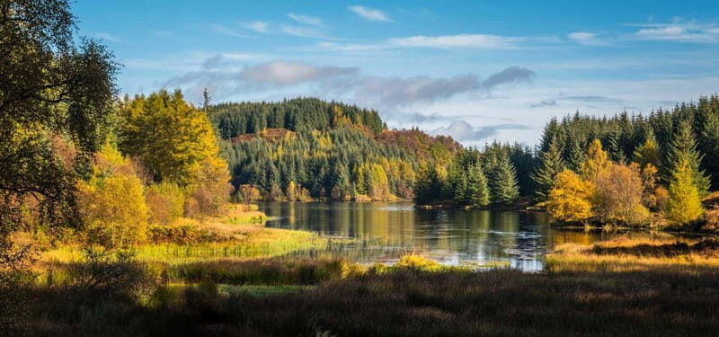 Greenock: Loch Lomond, Trossachs & Stirling Castle Tour - Good To Know