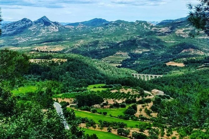 Greenway Section Cretas - Horta De Sant Joan 11km (90% Descending 10% Flat) - The Sum Up