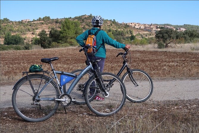 Greenway Section Cretas - Pinell De Brai 27km (90% Descending 10% Flat) - Overview and Pricing