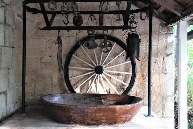 Greenwood Great House Tour From Montego Bay and Grand Palladium - Itinerary Overview