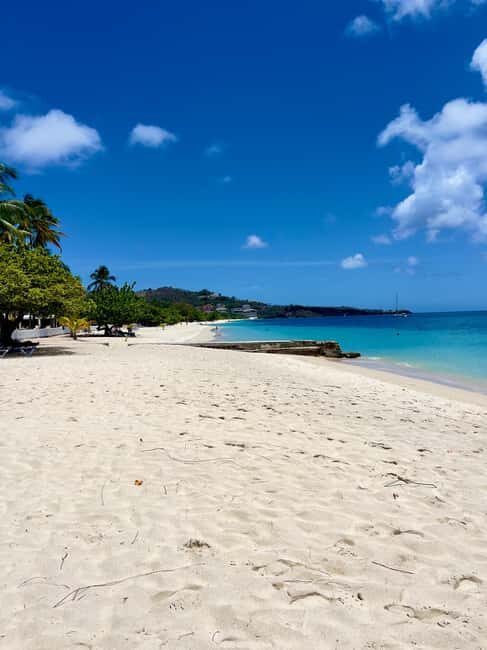 Grenada: Annandale Waterfall, Grand Etang, Grand Anse beach - What Makes This Tour Stand Out