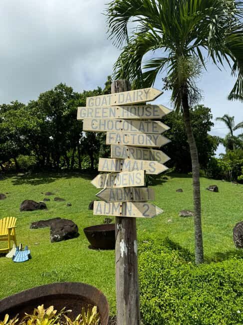 Grenada: Belmont Estate Tree to Bar Chocolate Workshop - What Makes This Tour Special