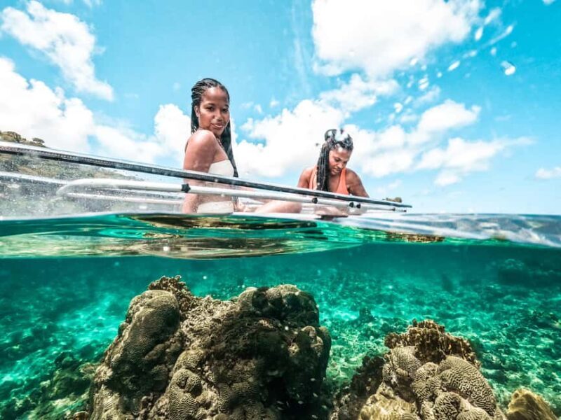 Grenada: Clear Kayak Tour with Drone Photoshoot - A Detailed Look at the Grenada Kayak & Drone Experience