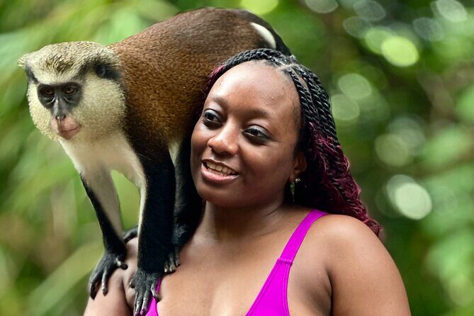 Grenada Day Tour-Concord Falls, Chocolate, Rum & Grand Etang Lake - Good To Know