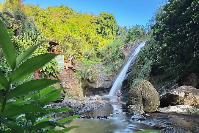Grenada Day Tour-Concord Falls, Chocolate, Rum & Grand Etang Lake - Exploring Grenada on a Full-Day Tour