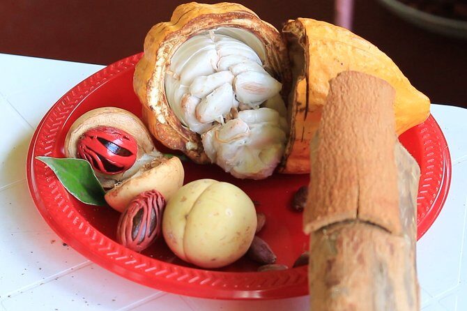 Grenada Express Tour - Annandale, Fort Fredrick, Rum Distillery & Beach Tour - Practical Considerations