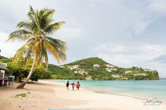 Grenada Express Tour - Annandale, Fort Fredrick, Rum Distillery & Beach Tour - Who Would Love This Tour?